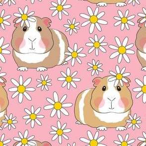 large guinea pigs and cute daisies on pink