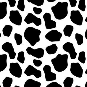 black and white cow spots