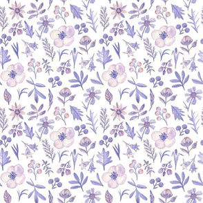 Violet flowers (on white)