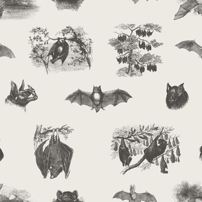 Bats toile