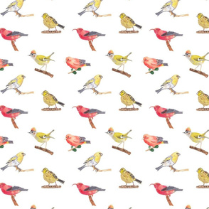 Birds Pattern 2