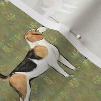 Beagle on Grassy Field