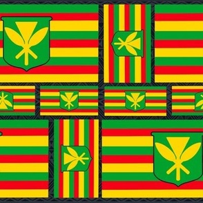 Kanaka Maoli flag design 