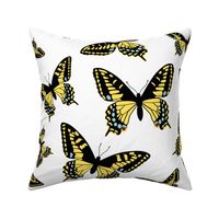 Swallowtails - Large