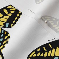 Swallowtails - Large
