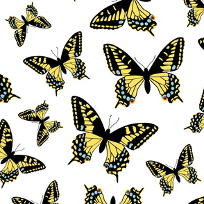 Swallowtails - Large