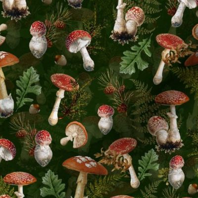 8" fungi kingdom - colorful mushrooms on green-Psychadelic  Mushroom Wallpaper