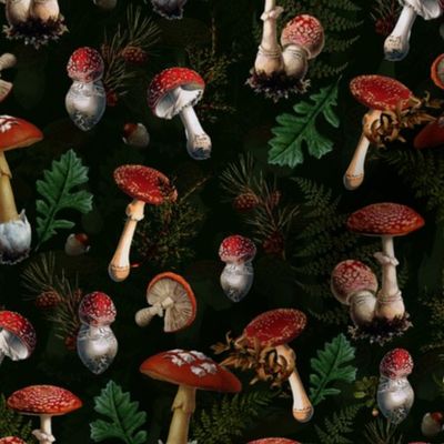 8"  fungi kingdom - colorful mushrooms on black-Psychadelic  Mushroom Wallpaper