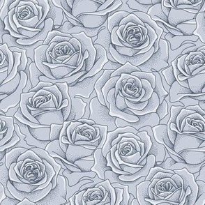 roses blue - grey