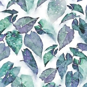 Creeping Watercolor Ivy