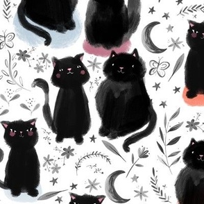 Black Cats are Cool Cats