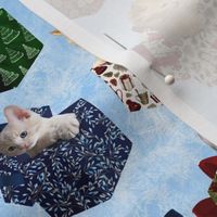 Christmas Kittens in Gift Boxes