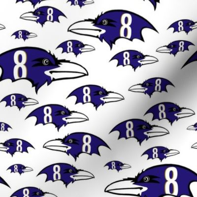 Ravens Football white backgroud