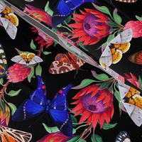 Moths and butterflies among Protea flowers