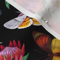Moths and butterflies among Protea flowers