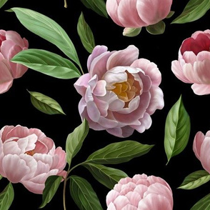 Pink peonies