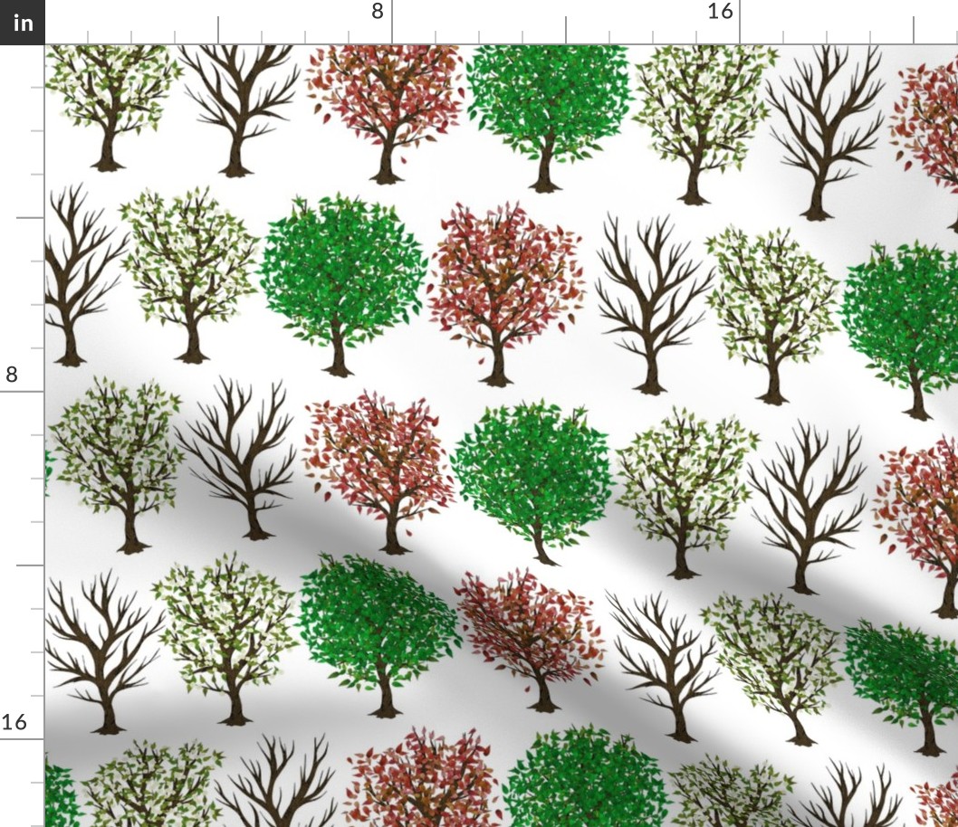 Four Seasons of Trees  