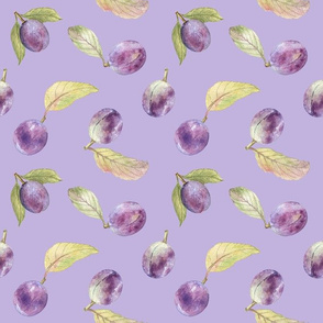 Juicy plums (on violet)