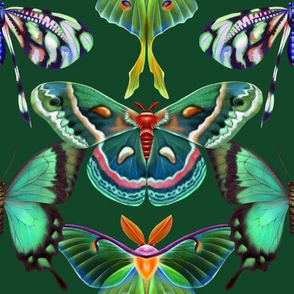 Emerald butterflies