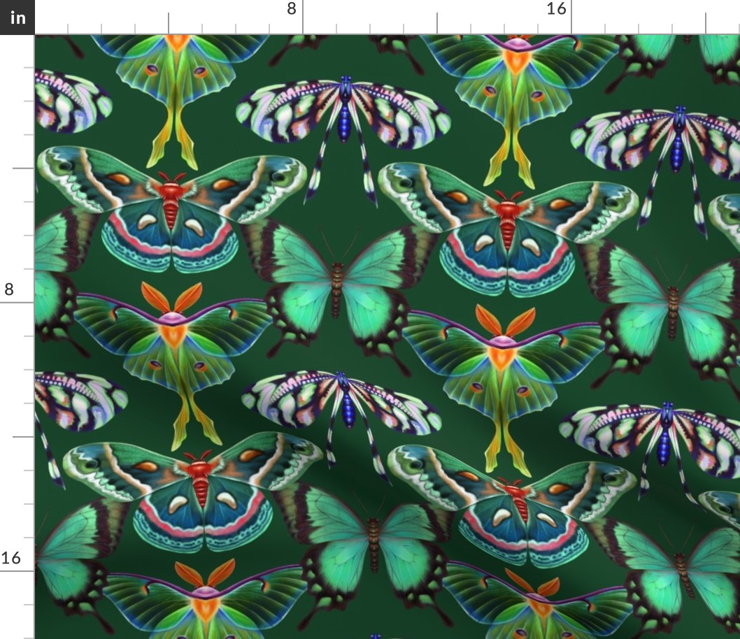 Emerald butterflies
