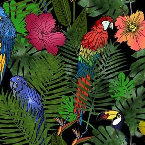 Tropical Birds In an Evening Garden