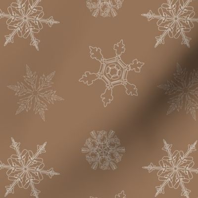 Cocoa Snowflake