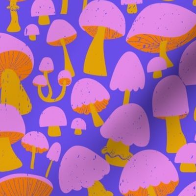 Mushrooms at Twilight