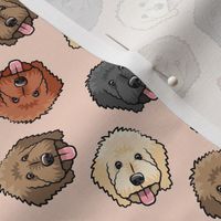 (small scale) all the doodles - cute goldendoodle dog breed - peach - LAD20