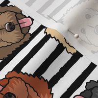 all the doodles - cute goldendoodle dog breed - black stripes - LAD20