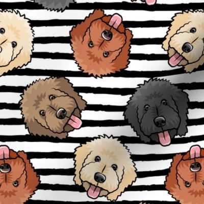 all the doodles - cute goldendoodle dog breed - black stripes - LAD20