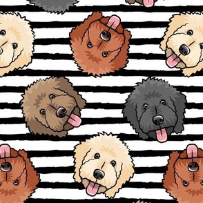 all the doodles - cute goldendoodle dog breed - black stripes - LAD20