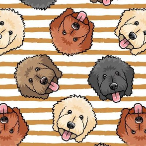 all the doodles - cute goldendoodle dog breed - mustard stripes  - LAD20