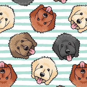 all the doodles - cute goldendoodle dog breed - aqua stripes - LAD20