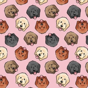 (small scale) all the doodles - cute goldendoodle dog breed - pink - LAD20