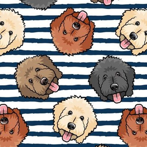 all the doodles - cute goldendoodle dog breed - dark blue stripes - LAD20