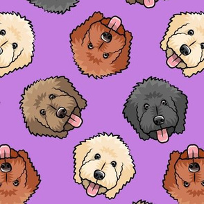 all the doodles - cute goldendoodle dog breed - purple - LAD20