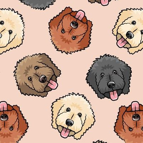 all the doodles - cute goldendoodle dog breed - peach - LAD20