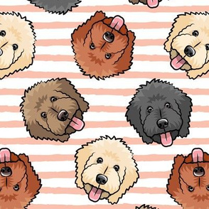 all the doodles - cute goldendoodle dog breed - pink stripes - LAD20