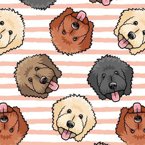 Goldendoodles Wallpapers  Wallpaper Cave