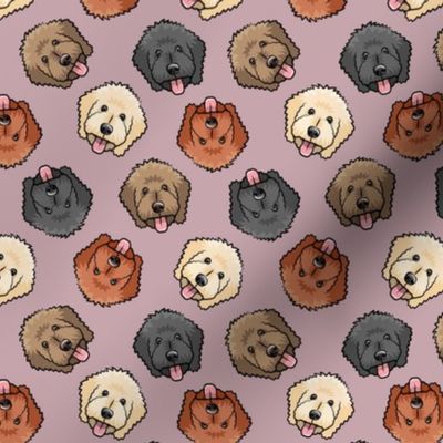 (small scale) all the doodles - cute goldendoodle dog breed - mauve - LAD20