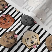 (small scale) all the doodles - cute goldendoodle dog breed - black stripes - LAD20