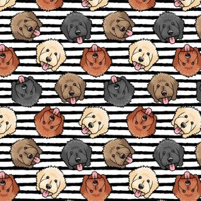 (small scale) all the doodles - cute goldendoodle dog breed - black stripes - LAD20