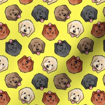 (small scale) all the doodles - cute goldendoodle dog breed - bright yellow - LAD20