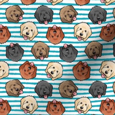 (small scale) all the doodles - cute goldendoodle dog breed - blue stripes - LAD20