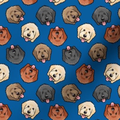 (small scale) all the doodles - cute goldendoodle dog breed - royal blue - LAD20