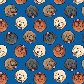 (small scale) all the doodles - cute goldendoodle dog breed - royal blue - LAD20