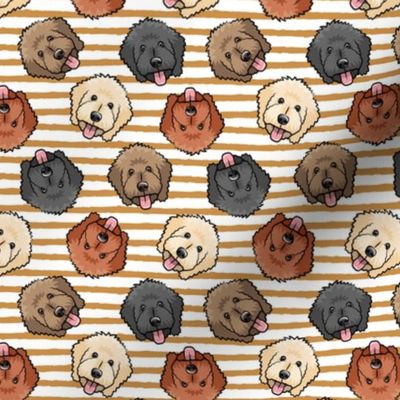 (small scale) all the doodles - cute goldendoodle dog breed - mustard stripes - LAD20