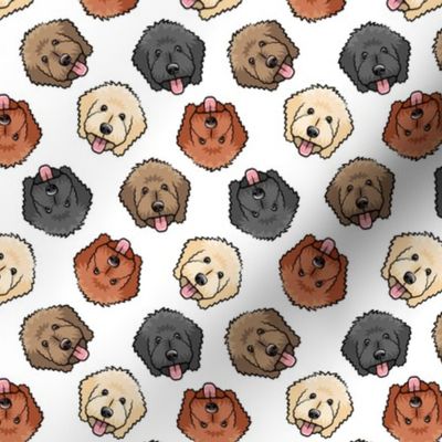 (small scale) all the doodles - cute goldendoodle dog breed - white - LAD20