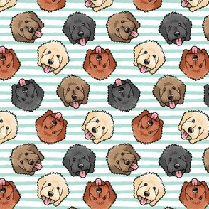 (small scale) all the doodles - cute goldendoodle dog breed - aqua stripes - LAD20