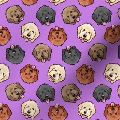 (small scale) all the doodles - cute goldendoodle dog breed - purple - LAD20